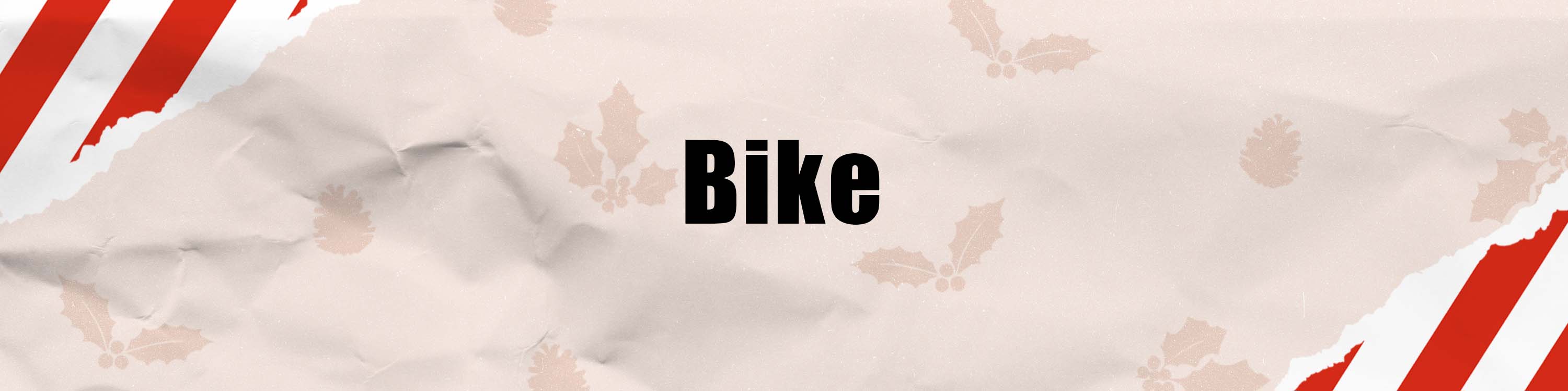 Holiday gift guide header for the cyclist