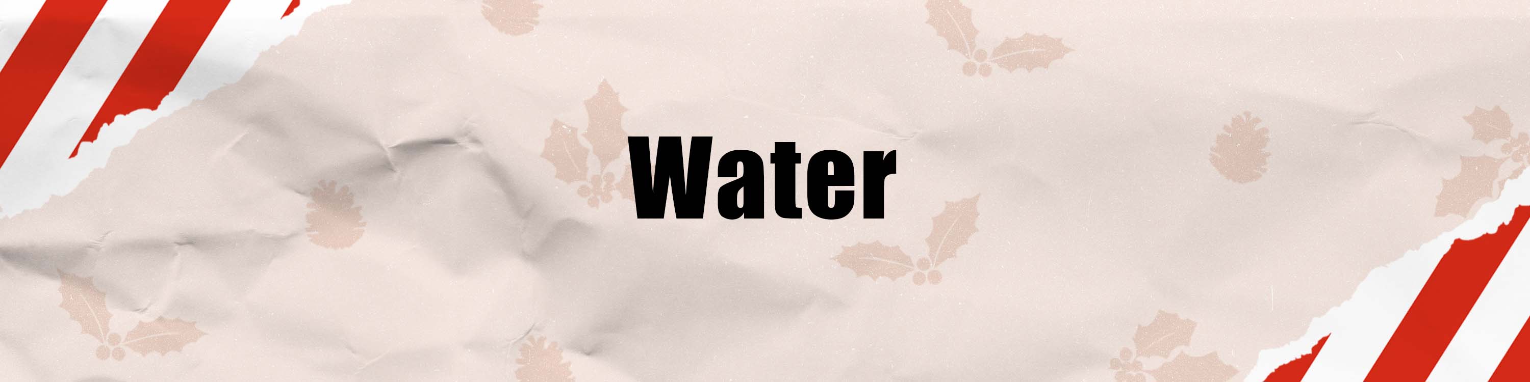 Holiday gift guide header for the wakeboard and wake surfer