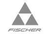 Fischer Skis Logo