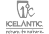 Icelantic Skis Logo