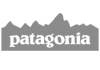 Patagonia Brand Logo