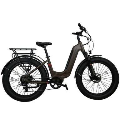 Serfas® eDART 750W E-Bike