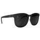 Blenders H Series Polarized Sunglasses MOONDAWG