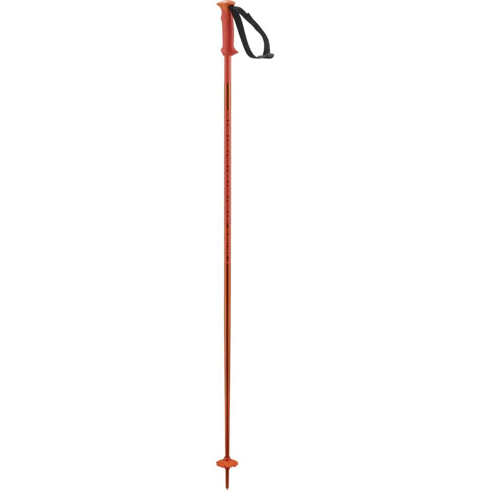 Salomon Polar Ski Poles 2026 CHERRYTOMATO