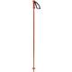 Salomon Polar Ski Poles 2026 CHERRYTOMATO