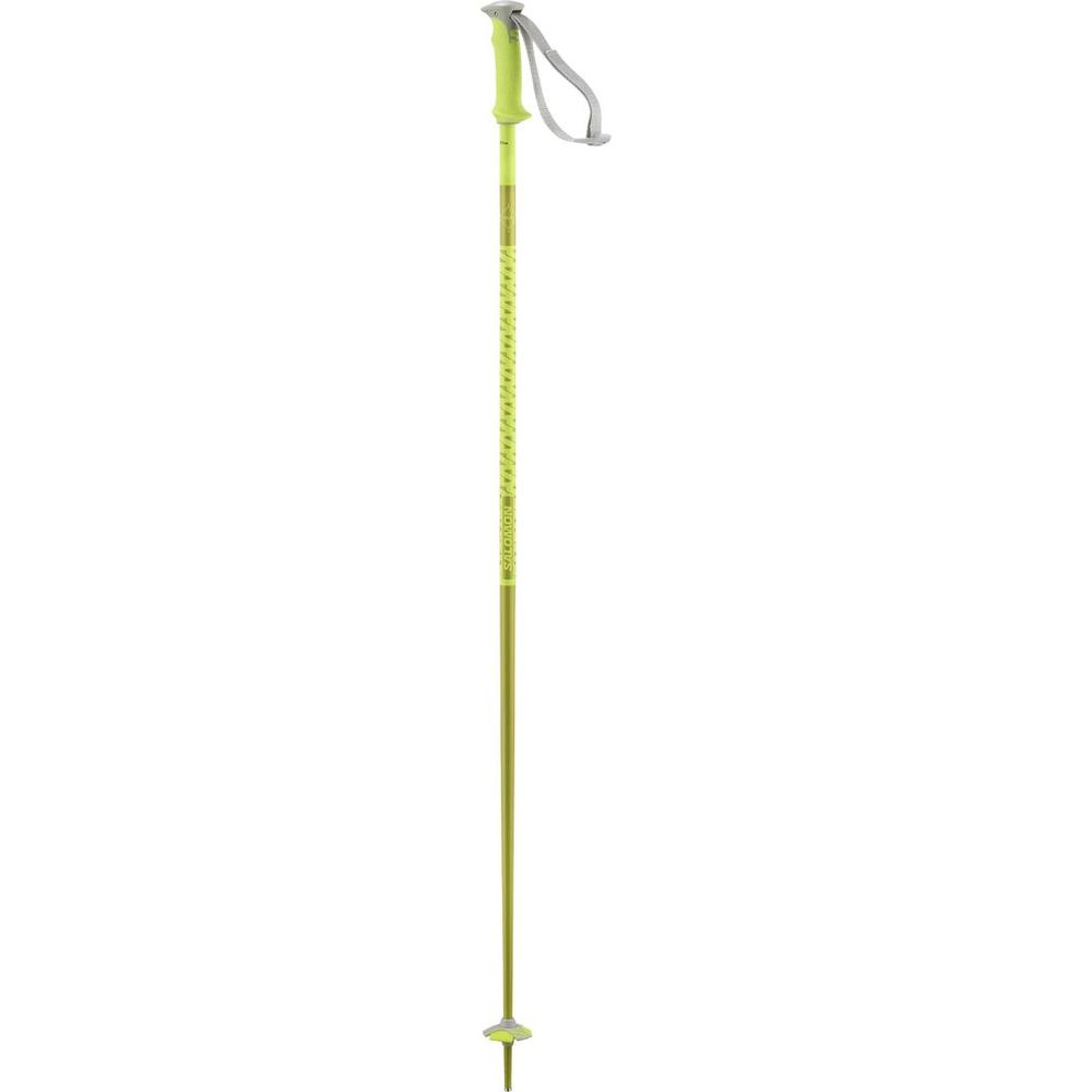 Salomon Polar Ski Poles 2026 NEONYELLOW