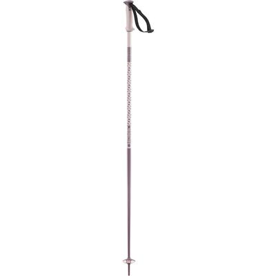 Salomon Polar Ski Poles 2026