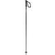Salomon Polar Ski Poles 2026 BLACK