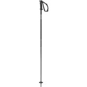 Salomon Polar Ski Poles 2026