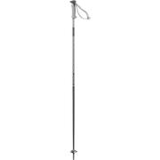 Salomon Polar Ski Poles 2026