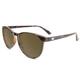 Knockaround Glossy Tortoise Shell/Amber Mai Tais Sunglasses NA