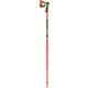 Leki WCR TBS SL 3D Ski Poles NA