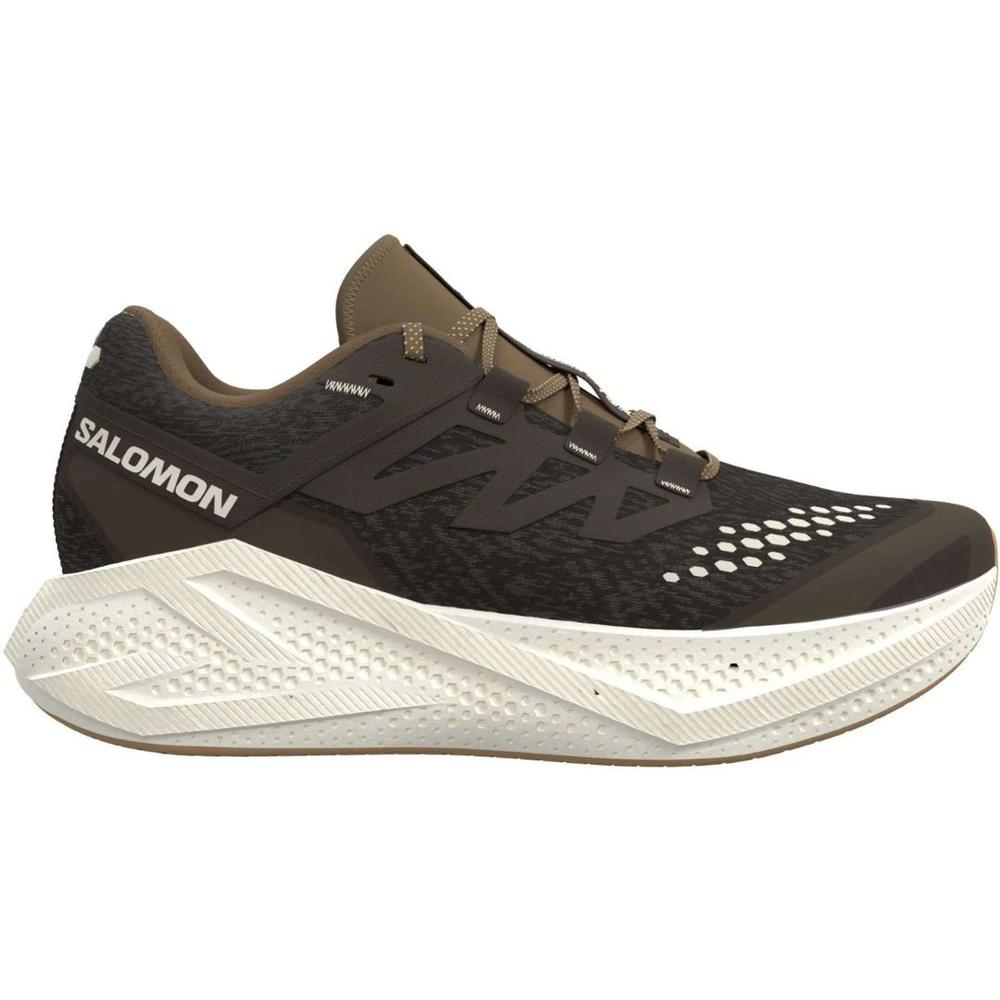 Salomon Men's Aero Glide 3 GRVL Running Shoes WRENVANILACOYO
