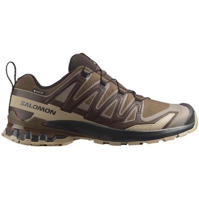 Salomon Men's XA Pro 3D V9 Gore-Tex Trail Running Shoes