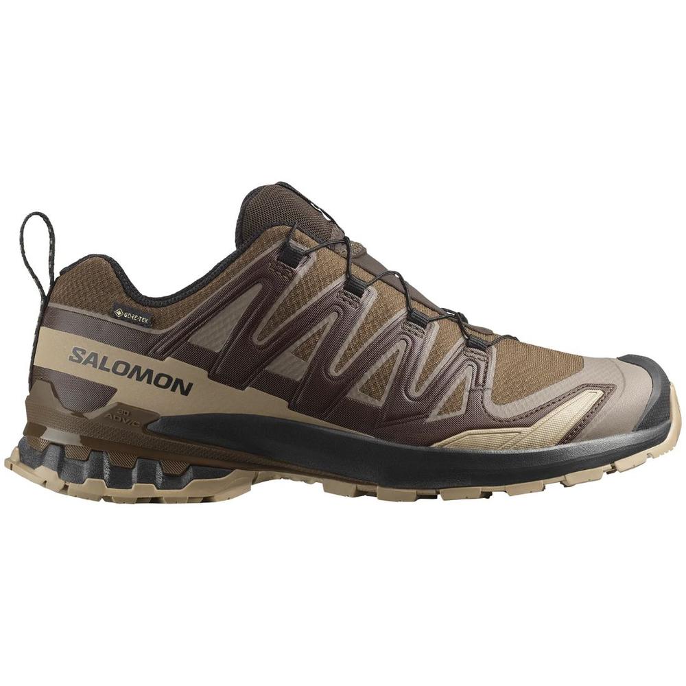 Salomon Men's XA Pro 3D V9 Gore-Tex Trail Running Shoes DKEARTDSRTANBLA