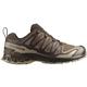 Salomon Men's XA Pro 3D V9 Gore-Tex Trail Running Shoes DKEARTDSRTANBLA