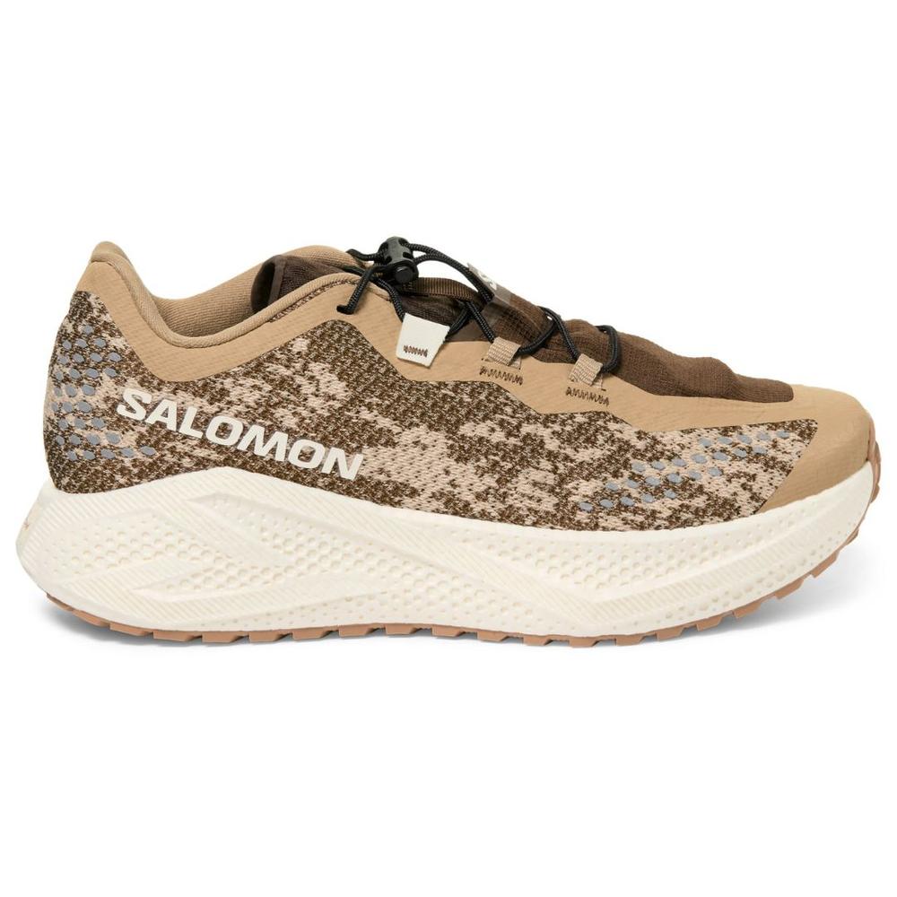 Salomon Men's Aero Glide 4 GRVL Running Shoes SFARIVANILAEAR