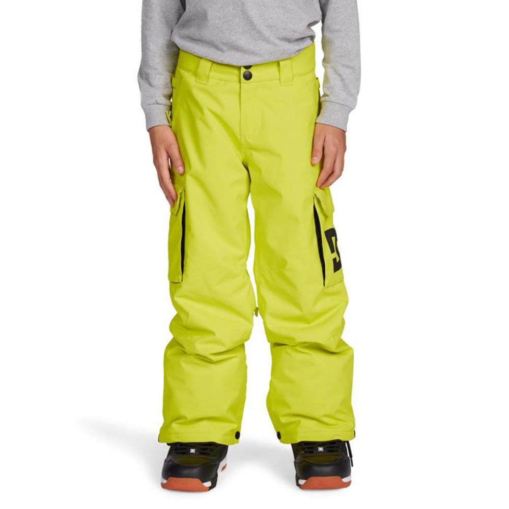 DC Banshee Boys' Snowboard Pants
