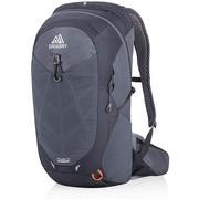 Gregory Miwok 24L Day Pack