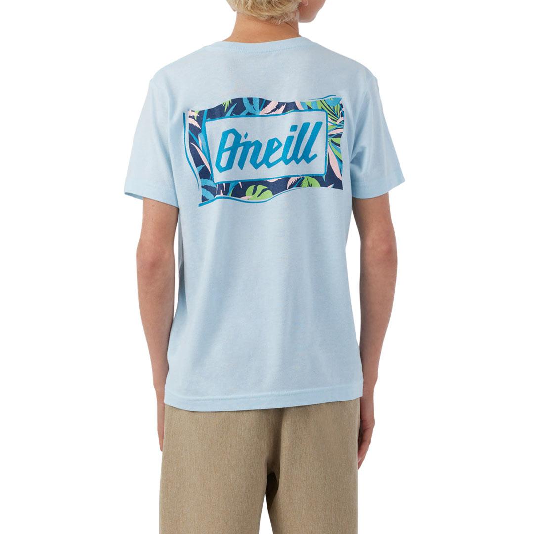 O'Neill Men's Burnout T-Shirt