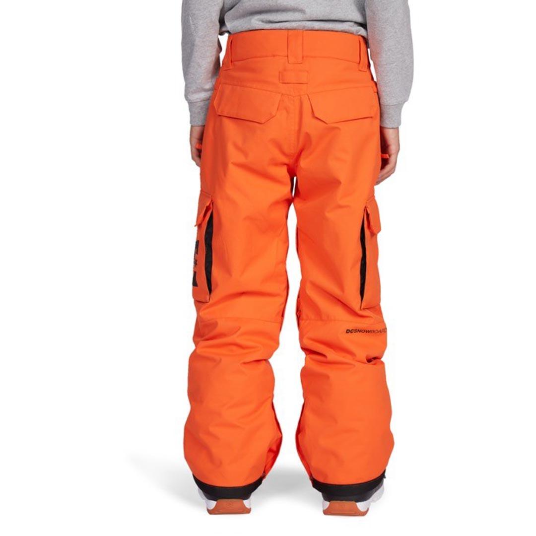 DC Banshee Boys' Snowboard Pants