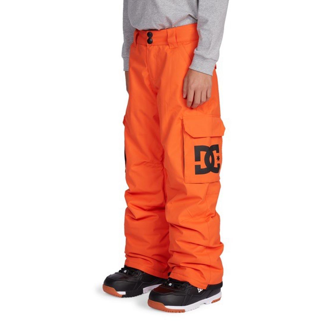 DC Banshee Boys' Snowboard Pants